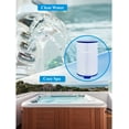 Cryspool Spa Filter Cartridge Replacements for Watkins 303279, FC2402