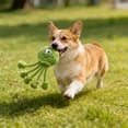 thumbnail image 3 of Shaped Chew Capturing Pet' Favorites Relieving Anxiety Promoting Behavior And Enriching Pet' Lives, 3 of 4