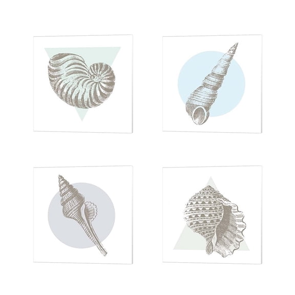 Metaverse Wild Apple Portfolio 'Conchology Sketches' Canvas Art (Set of 4)