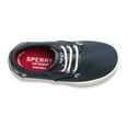 thumbnail image 5 of Sperry Top Sider Boys Little Kid Bodie Jr. Sneaker, 5 of 6
