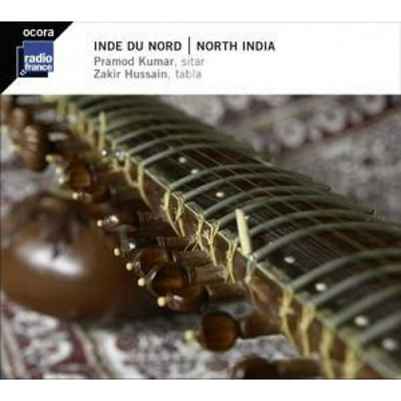 Nordindien: Sitar