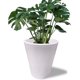 thumbnail image 3 of Maceta Plastico Redonda con Drenaje, 38 cm x 33 cm blanco 6.49 pulg Elly Decor ED-MRP01WH, 3 of 14