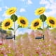 thumbnail image 5 of Xihbxyly Luces de Jardín de Girasol, Diseño Floral Led para Exteriores, Tallos y Hojas Ajustables, Resistentes a La Intemperie, Decoración para Patio, Camino, Activación Nocturna Automática, Paquete, 5 of 7