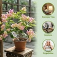 thumbnail image 6 of Clearance! Haidf Tulips Self Watering Globes, Glass Plant Watering Globes, Self Watering Planter Insert for Outdoor Plants, Plant Watering Devices, Automatic Plant Waterer Indoor, Watering Bulbs, 6 of 9