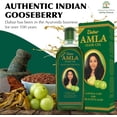 thumbnail image 4 of Aceites para el tratamiento capilar Dabur Amla para hombres y mujeres, 500 ml x3, 4 of 7