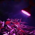thumbnail image 2 of Bombillas LED para cultivo kusrkot 220V 5W Decoración Jardinería, 2 of 8