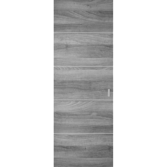 Hidden Barn | Planum 0020 Ginger Ash | Sturdy Finished Flush Modern Doors | Magic Concealed Sliding Set 18" x 80"