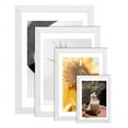 Picture Frame Solid Wood Poster Display Wall Gallery Photo Frames Wall