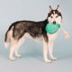 thumbnail image 5 of Juguete de peluche para perros Fringe Studio I Pawty You Pawty Pet Shop, 5 of 6