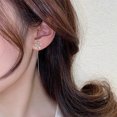 thumbnail image 5 of Pendientes de oreja con borlas de flores personalizadas de moda en vivo con aguja de plata, de longitud media, exquisitos y penetrantes, 5 of 5