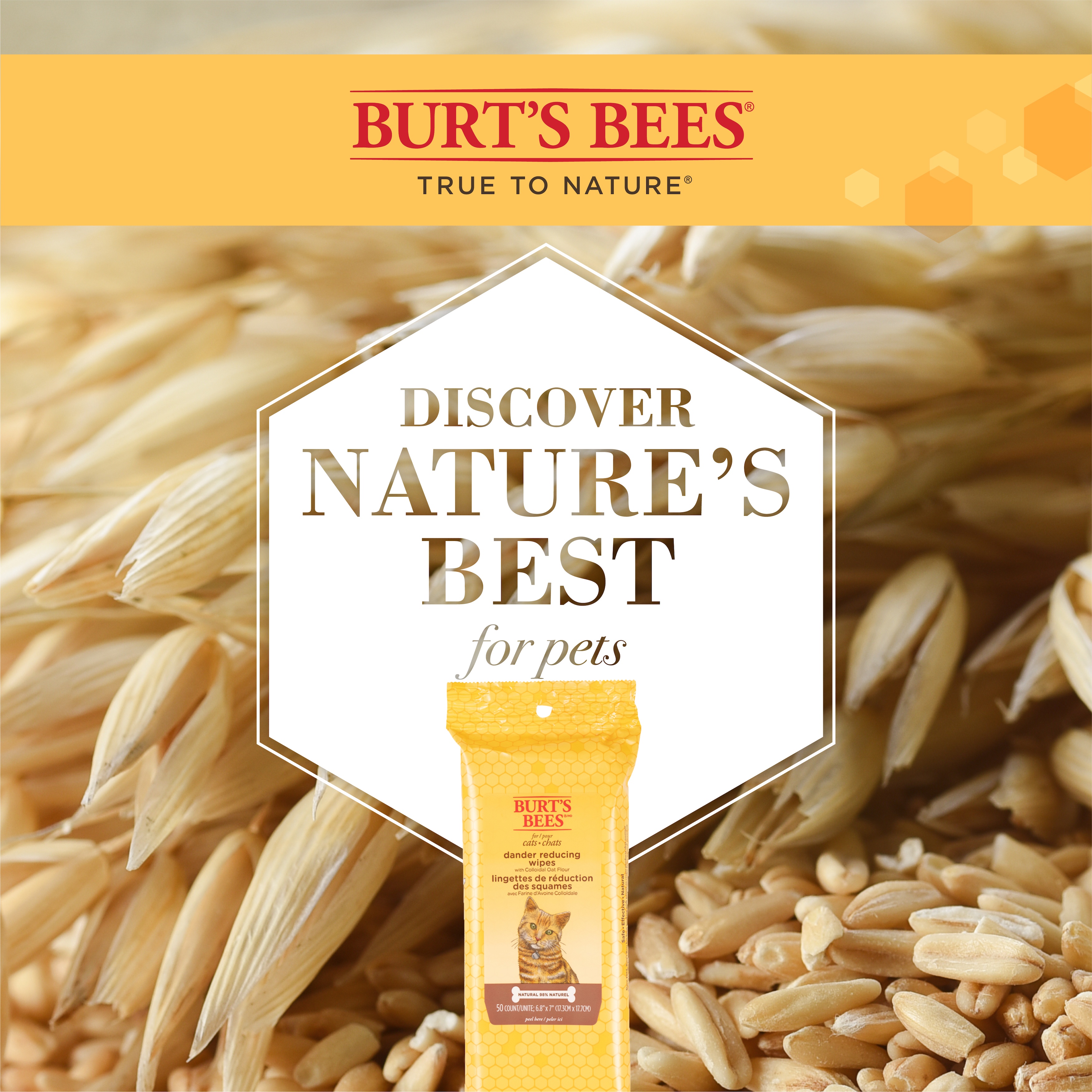 Burt's Bees Toallitas de Aseo para Gatos que Reducen la Caspa, 50 Toallitas 3