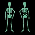 thumbnail image 3 of Gustave 4-Pack 5FT Poseable Human Skeleton Halloween Decoration Full Body Life-Size Luminous Skeleton Prop Halloween Outdoor Yard Haunted House Decor, 3 of 9