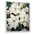 thumbnail image 2 of Designart "Serenade Of Wild White Poinsettia I" Poinsettias Floater Framed Wall Art Living Room, 2 of 5