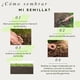 thumbnail image 2 of Semilla De Pasto Césped 1kg 30m Sol Y Sombra Ingles/survivor, 2 of 2