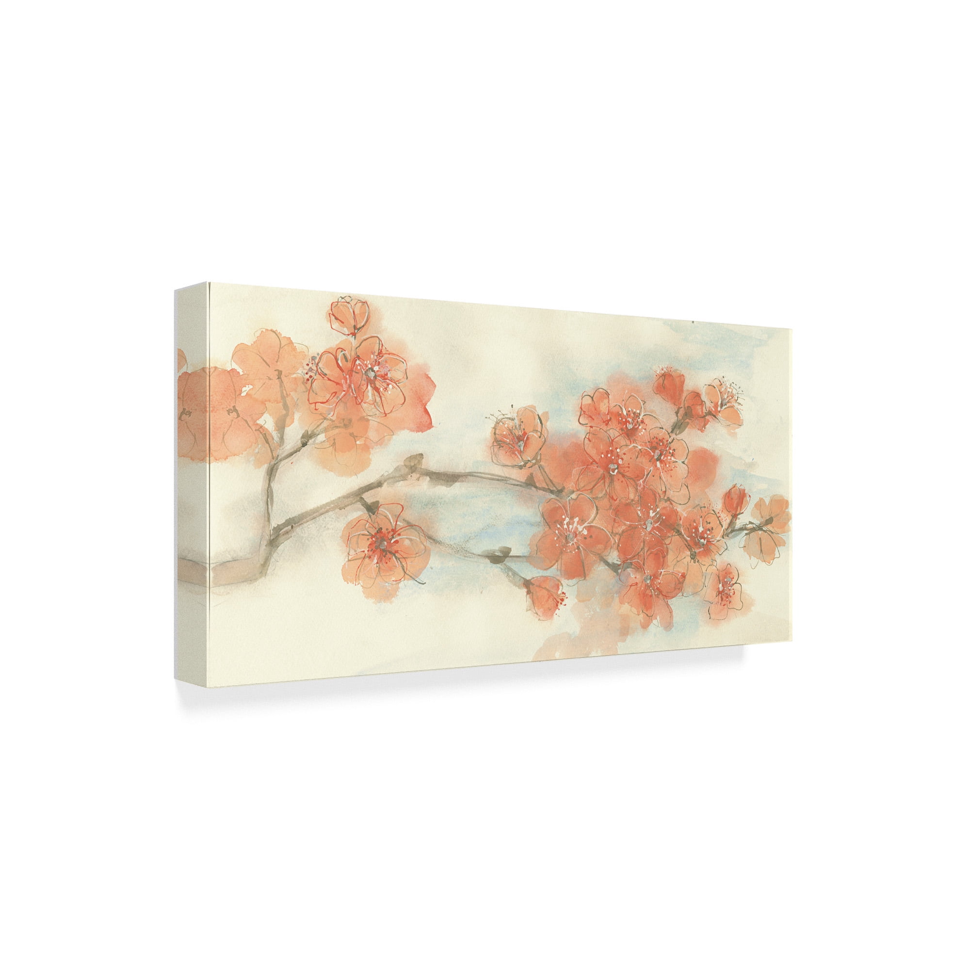 Chris Paschke 'Peach Blossom I Flipped' Canvas Art