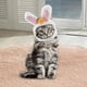 thumbnail image 3 of Sombrero Lindo Del Gato Del Animal Doméstico, Sombrero Del Del Sombrero Del Gato Gorros Lindos de Las Orejas Del Conejo Accesorios de La Foto, 3 of 9