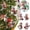 A, variant on UAKIRO Christmas Acrylic Snowman Ornaments, Christmas Tree Hanging Decorations, Xmas Tree Pendants for Holiday Party Home Decor Gift