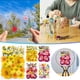 thumbnail image 2 of Candelas artesanales de resina con flores grabadas secas, materiales para prensar flores, 2 of 4