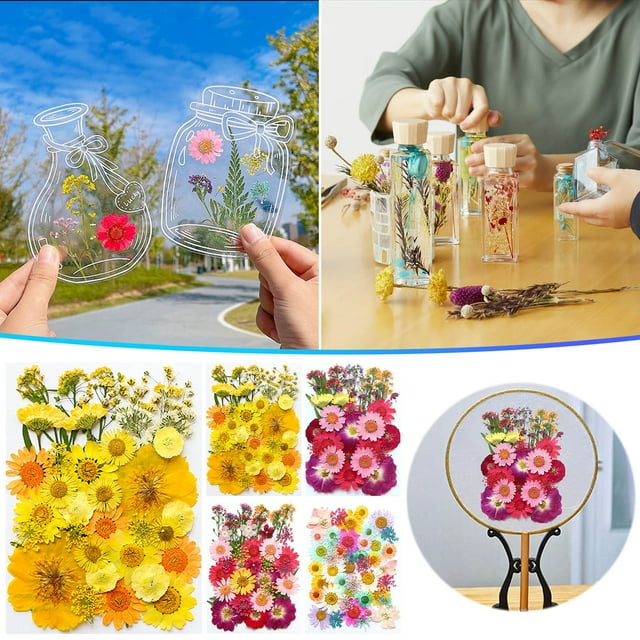 Vaidha Fleurs Séchées et Embossées pour Résine Kit Bougies et Bricolages