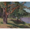 thumbnail image 3 of Władysław Majewski 13x12 Black Modern Framed Museum Art Print Titled - Forest on the Neman I, 3 of 5