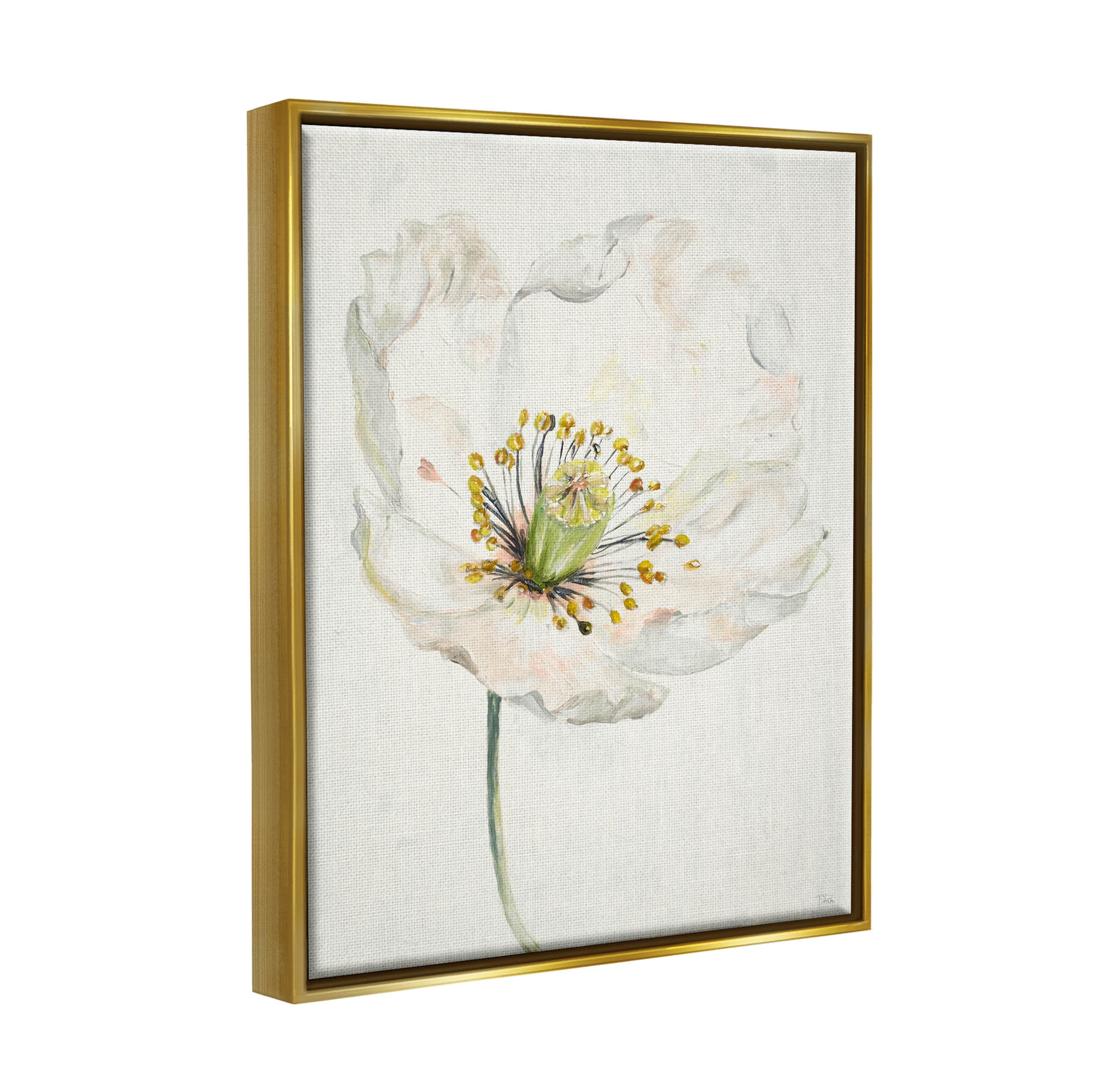 Stupell Industries Delicate Beauty White Flower Graphic Art Metallic Gold Floating Framed Canvas Print Wall Art, Design by Patricia Pinto