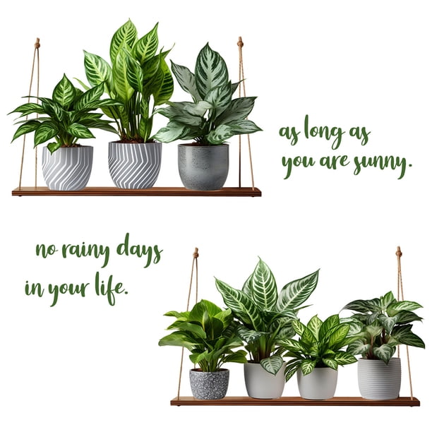 1 juego de calcomanías de pared con plantas en maceta, pegatinas adhesivas para ventanas y plantas verdes.