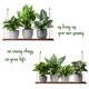 thumbnail image 1 of 1 juego de calcomanías de pared con plantas en maceta, pegatinas adhesivas para ventanas y plantas verdes., 1 of 5