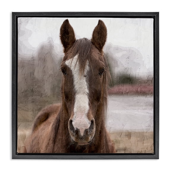 Stupell Industries Farmhouse Brown Horse Portrait Black Floating Frame Canvas Art, 18 x 18, by Kim Allen