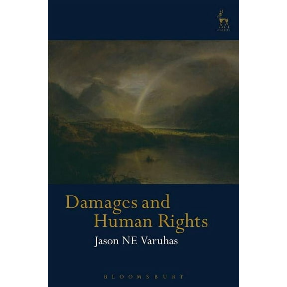 Damages and Human Rights, (Paperback)
