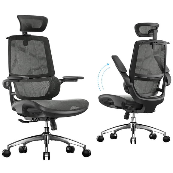 SIHOO M59AS Ergonomic Office Chair, Desk Chair with 3D Flip-up Armrests, Computer Chair with Dual Back Design and Adaptive Dynamic Lumbar Support, Black