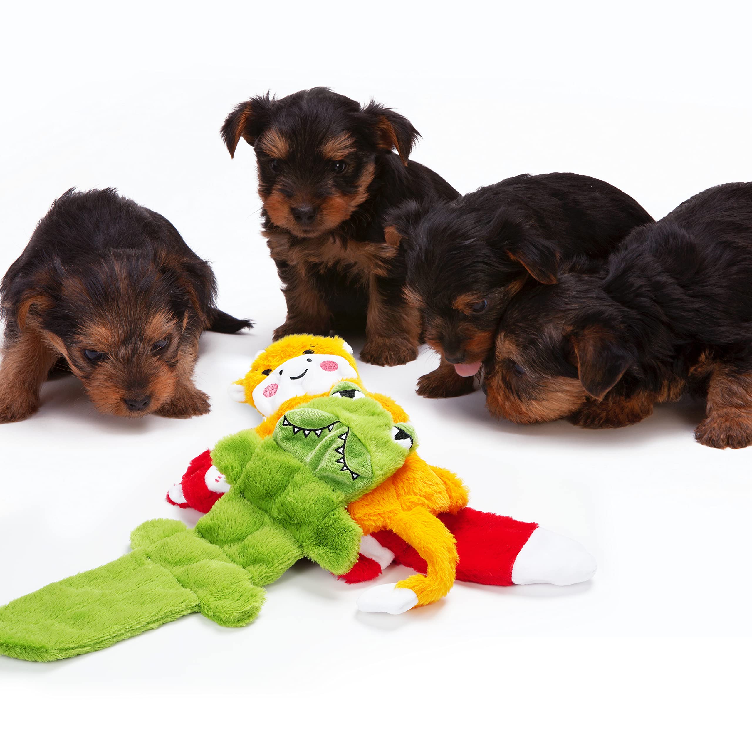 Nocciola 5 PCS Crinkle Dog Squeaky Toys with Double Layer Reinforced Fabric, Durable Plush Dog Toys, No Stuffing Body Dog Toy Set for Small to Large Dogs, New