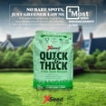 thumbnail image 4 of X-Seed Ultra Premium Quick And Thick Lawn Seed Mixture – Rapid Germination for Any Lawn, Dense Coverage in Sun To Shade, High-Traffic Areas,Fescue, Kentucky Blue, & Perennial Ryegrass Blend, 20lb Bag, 4 of 5