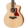 Taylor 254ce Rosewood 12-String Acoustic-Electric Guitar