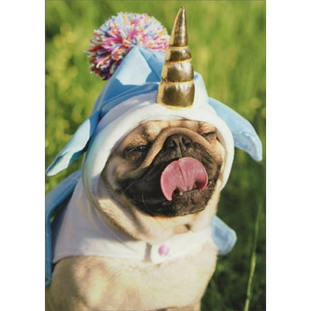 Unicorn Birthday Card - Avanti Press Unicorn Pug Funny Birthday Card