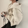 thumbnail image 2 of Sudaderas con capucha de manga larga para mujer, abrigo de gran tamaño con cremallera de Color sólido Retro, versión coreana Harajuku, Otoño, 2023, 2 of 4