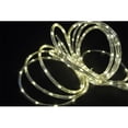 thumbnail image 1 of Perfect Holiday 600053 Fonctionne sur Batterie 20 LED Tube String Light - Blanc Chaud, 1 of 1