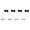 4 black and 4 white, variant on Yammee 8Pcs Ladders Ball Replacement Ladders Toss Game Ball Outdoor Hard Golf Training Ball for Golf Toss Game Enduring
