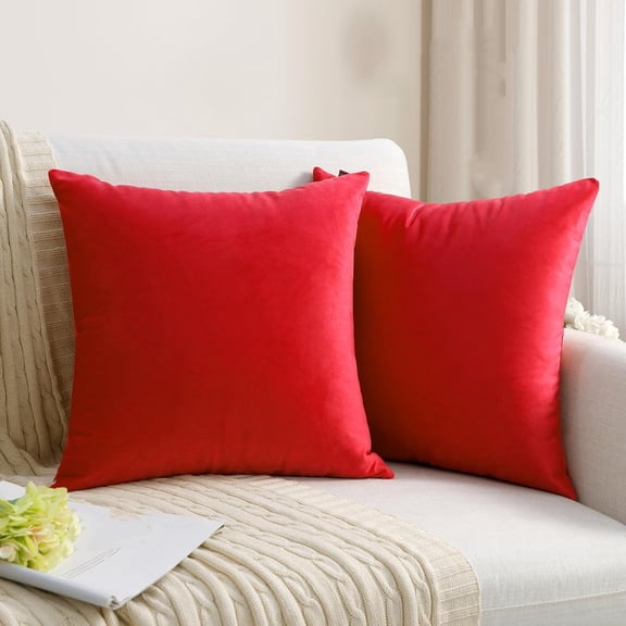 Nmkwnr Set of 2 Soft Velvet Pillow Covers Solid Color Decorative Square Throw Cushion Covers for Bed Sofa Couch, 16x16 Inch