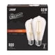 thumbnail image 2 of Bombilla Led Edison St19 Vidrio Transparente Blanco Suave E2, 2 of 2