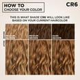 thumbnail image 6 of Garnier Nutrisse 0% Ammonia Glossy Curl Nourishing Permanent Hair Color Kit, CR6 Glossy Golden Brown, 1 Kit, 6 of 13
