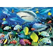 ROYAL LANGNICKEL ART Reef Sharks Painting By Numbers Art Kit
