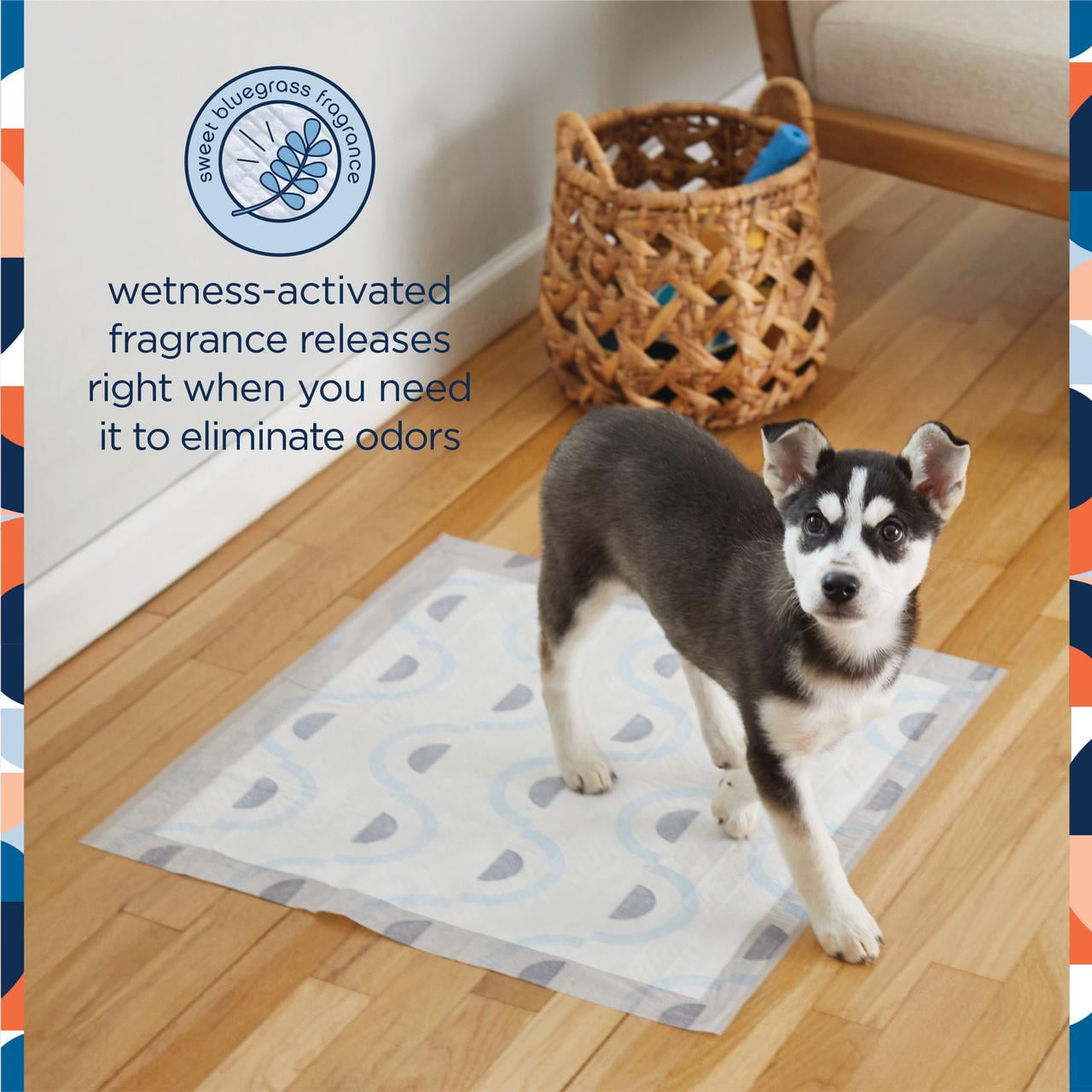 (2 pack) Pet Life Unlimited Dog Pads, Smart Prints, Large, Sunshine & Rainbows Print, 75ct