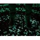 thumbnail image 5 of 300 piedras luminosas de resina para paisajismo de acuarios, impresionante piedra luminosa artificial para acuarios, guijarros luminosos carámbano luminoso 14*11 mm naranja, 5 of 5