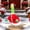 K, variant on Cififendec Christmas Porch Goose Outfit, Seasonal Printed Costume for 23" Front Yard Goose Figurine Styling & Holiday Patio Festive Decoration Layout