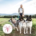 thumbnail image 3 of GOOHOCHY Dog Training Lead Large Three Heads Coupler Metal Red 1Set, 3 of 8