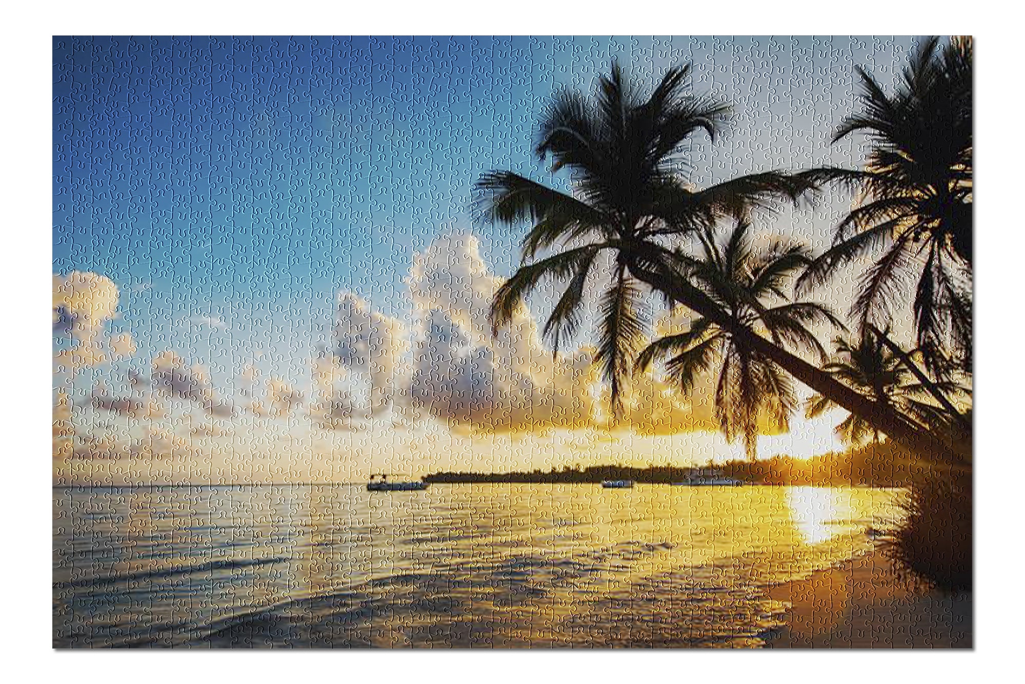 1000 Pieces Jigsaw Puzzle Tropical Beach Palm Trees Puzzle for Kids and Adult 