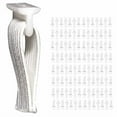 thumbnail image 2 of DMSE Wholesale Glissières Élastiques pour Rideaux, et Roulettes (112 Pack), 2 of 4