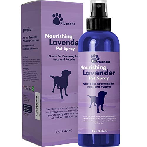 Natural Pet Spray Aromatherapy Lavender Essential Oil Primrose Fur Deodorizer For Dogs Puppies Cat Grooming Spray Cleaner Odor Control Spray Cruelty Free Tear Free Formula 8 Oz Walmart Com