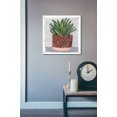 thumbnail image 3 of Epic Art 'Potted Agave II' by Stellar Design Studio, Acrylic Glass Wall Art, 24"x24", 3 of 5