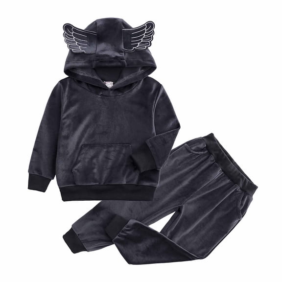 Elainilye Fashion Kids Girls Winter Sweatsuit Golden Velvet Wing Hooded Pullover Sweatshirt Long Sleeve Top Casual Pants Suit,Gray
